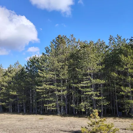 Magicna Jutra Kalman Apartamento *