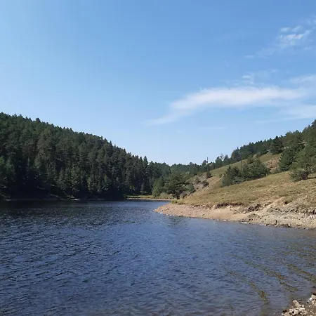 Magicna Jutra Kalman Zlatibor
