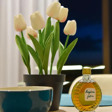 Magicna Jutra Kalman Apartamento