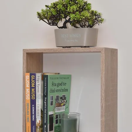 Magicna Jutra Kalman Ζλάτιμπορ