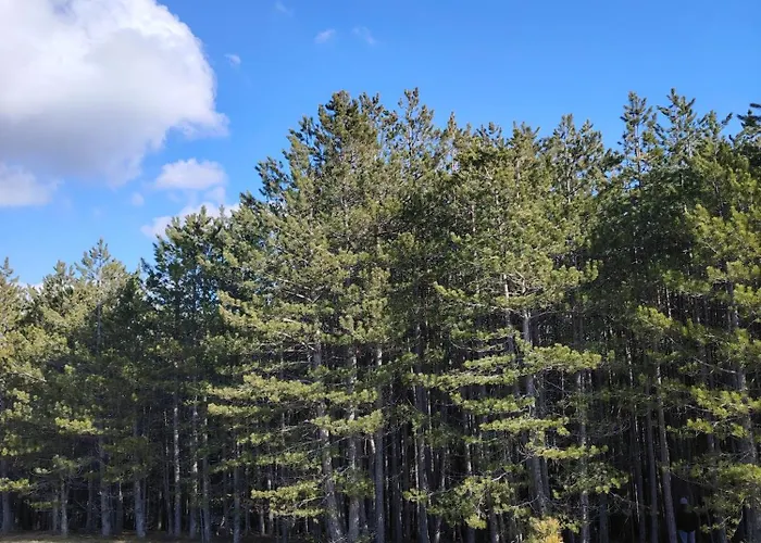 Magicna Jutra Kalman Lejlighed *