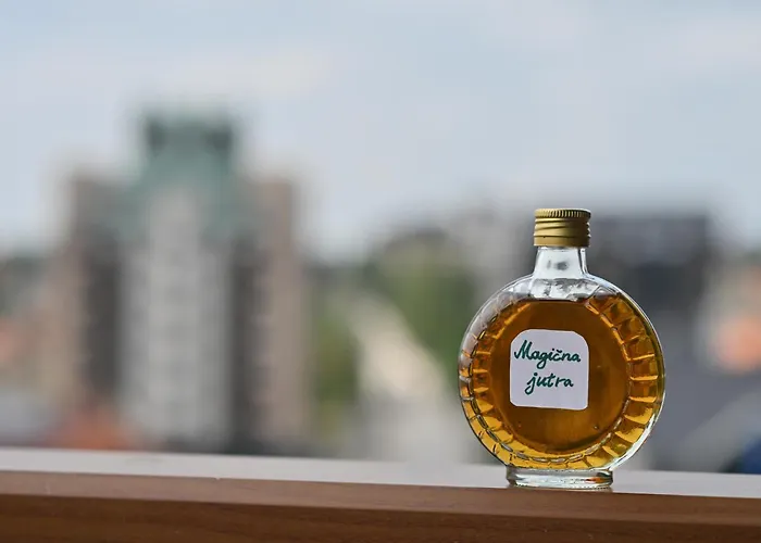 Magicna Jutra Kalman Lejlighed