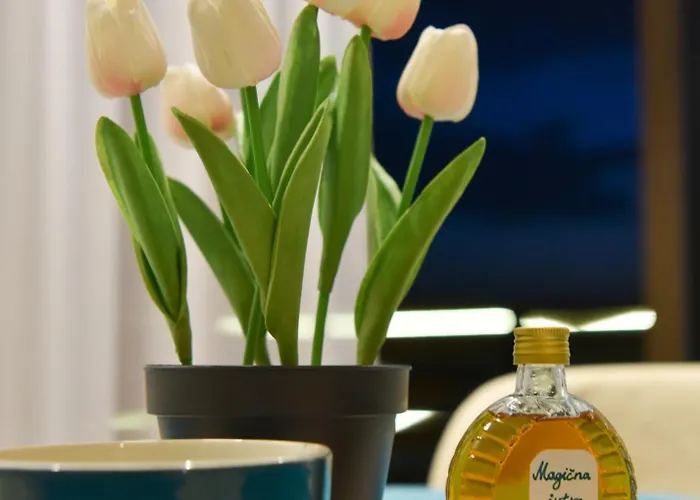 Magicna Jutra Kalman Lejlighed