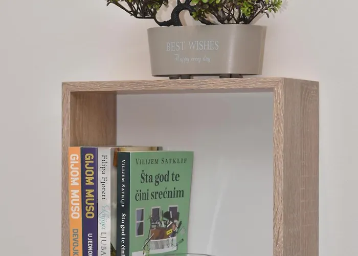 Magicna Jutra Kalman Zlatibor