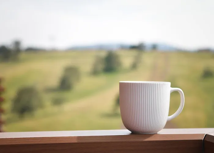 Magicna Jutra Kalman Lejlighed *